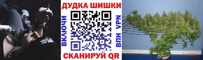 где купить наркоту  Кологрив  OMG   Марихуана конопля 